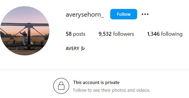 Avery Grace Sehorn's Instagram